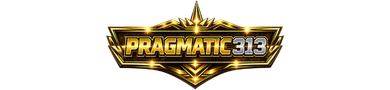 Pragmatic313